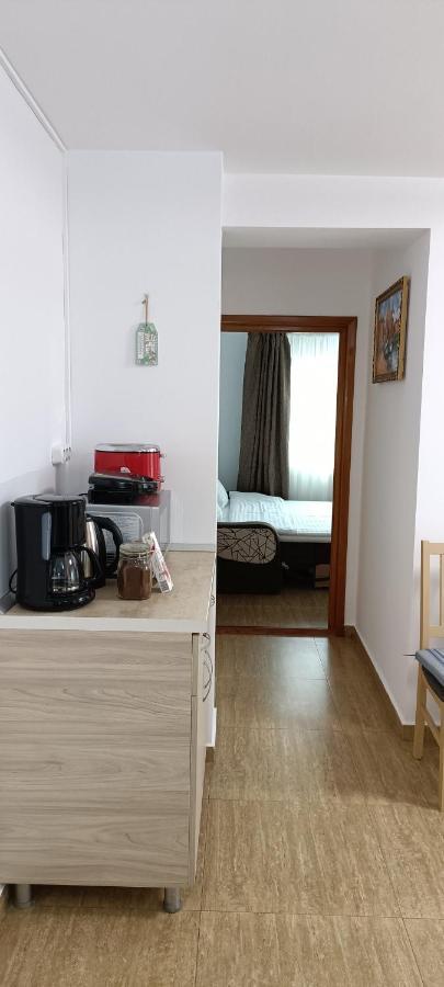 Apartament Faleza Nord コンスタンツァ エクステリア 写真